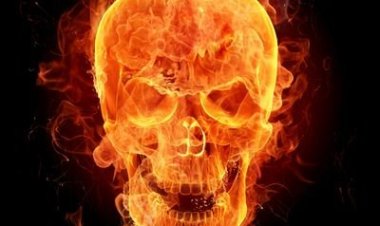 நாய்களுக்கா இந்த நிலை....