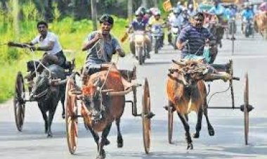 18 ஆண்டுகளுக்குப் பிறகு வெகு உற்சாகமாக நடந்த குதிரை வண்டிப் பந்தயம் | HOURES RACIING