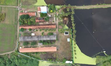 பஸ் அதிபர் வீட்டில் பதுக்கப்பட்ட பல கோடி ரூபாய் பணம். தட்டி தூக்கிய வருமானவரித்துறை அதிகாரிகள்