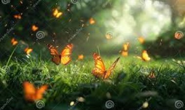 கொல்லிமலை:சிறகடிக்கும் பட்டாம்பூச்சிகளை காண சுற்றுலாப் பயணிகள் ஆர்வம்