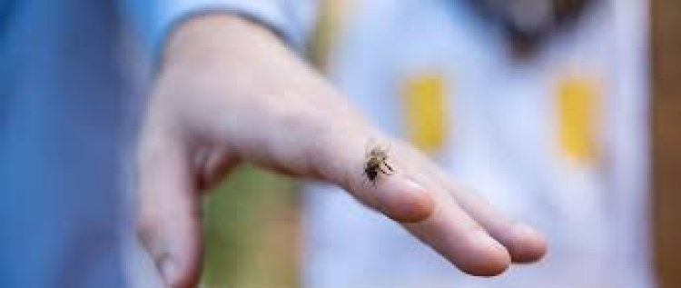 ரேஷன் கடைக்கு வந்தது ஒரு குத்தமா? Namakkal | Bee | Bite