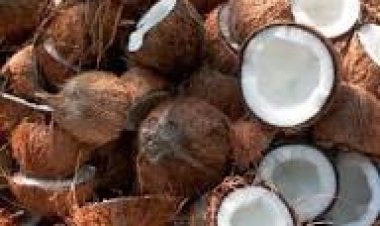 குறையாத தேங்காய் விலை... இல்லத்தரசிகள் கவலை